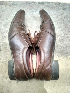 shoe size 44