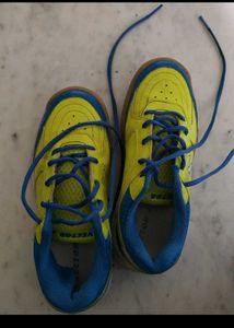 Vector Indoor Soccer Shoes