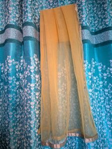 Elegant Golden Net Dupatta 2 combo