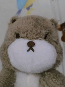 Cute Bear Plush