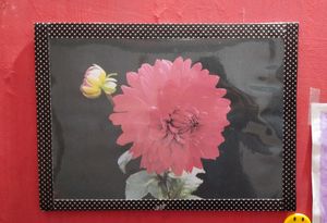 Red Flower Wall Decoration Frame | Wall Frame