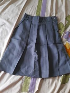 Pleated Blue Skirt