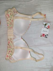 Ebillia Paded Bra