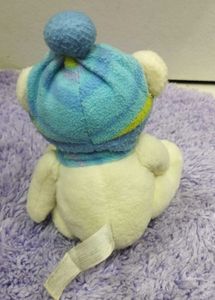 Teddy Bear In Winter Cloth Accessories