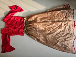 Beautiful Lehenga for girls🥻