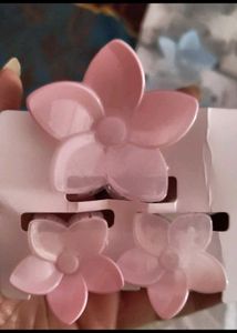 Butterfly Hair Clip combo of 3