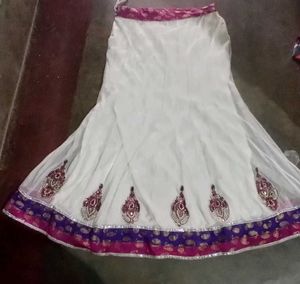 Elegant Ethnic Skirt