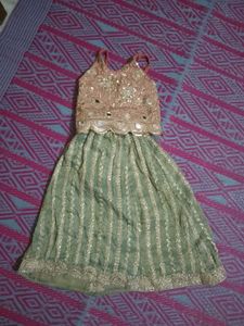 Green Embellished Lehenga Choli