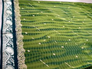 😻💚 Vintage Saree Bahrin