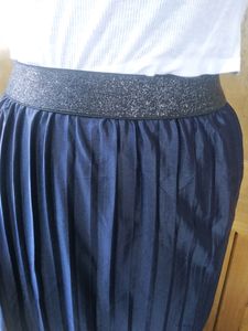 Dark Blue Skirt