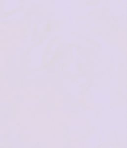 A Man Called Ove | Fiction