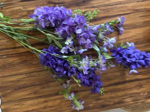 Purple Flowers