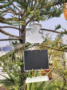 Cute Teddy Bear Photo Frame