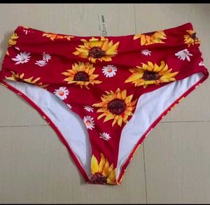 SHIEN Brief