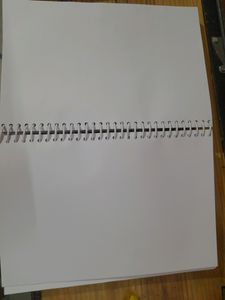 400 Pages White Spiral Notebook, (Ragister/Dairy)