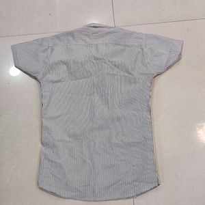 Striped Shirt