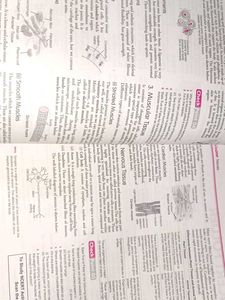 All In One Science Class 9