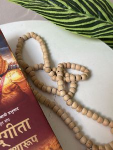 Bhagavad Gita As It Is