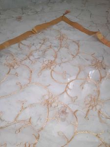 Combo Of 2 Net With Zari Thread 2mtr