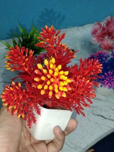 Very Low Price Pack Of 6 Artificial Flowers Plants