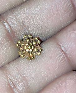 Original Gold Nose Pin