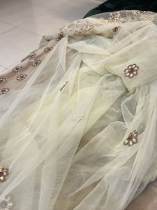 Embroidered Net saree with blouse