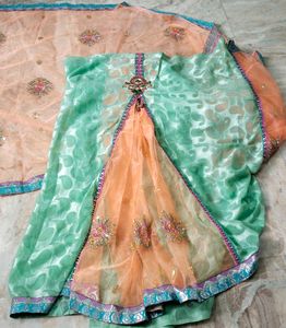 Pre-Pleated Saree