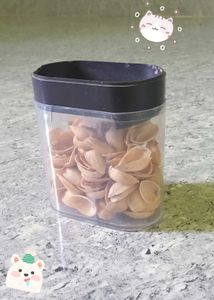 Pistachio Shells for Crafts
