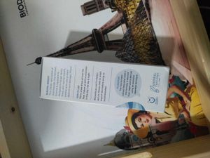 New Plum Rice Water &amp; Niacinamide Serum