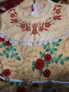 Floral Embroidered Party Dress