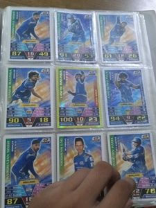 Cricket Attacks