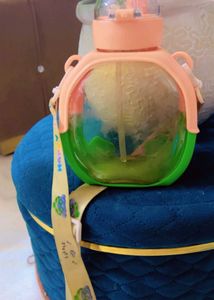 Cute Turtle Water Bottle