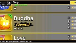 Blox Fruit Account For Sell