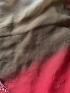 Elegant Embellished Saree