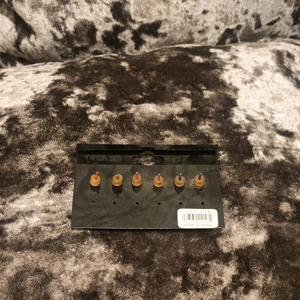 Sea shells earings