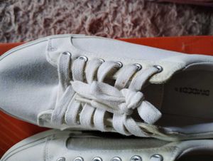 H&amp;M Canvas