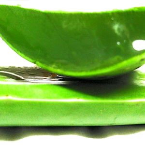 FRESH ALOEVERA , ORGANICALLY GROWN WITHOUT ANY CHEMICALS AND ETC, PURE AND NATURAL