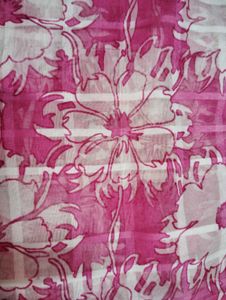 Without Blause Saree