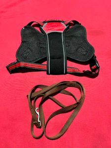 Dog Harness with Leash – Size L