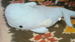 Cute Whale Plush Toy