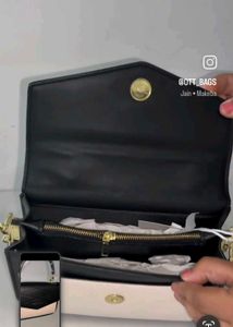 Charles &amp; Keith Handbag