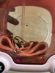 New Branded Transparent Water Bottle For Kids