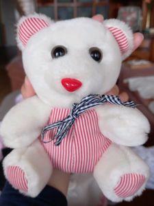 Combo Of 2 Soft Toys