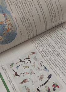 HEALTHY LIFESTYLE book + Environmental Studies