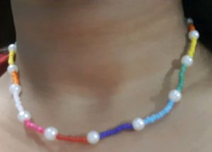 Rainbow Seed Besads Necklace
