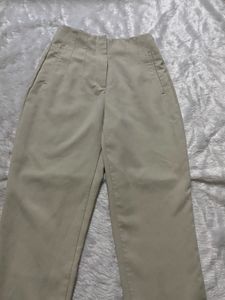 Zara Beige Pleated Trousers