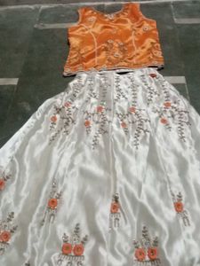 Embroidered Lehenga Choli Set