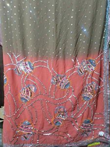 Elegant Embellished Saree