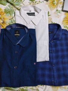 Encore Blue Checked Shirt