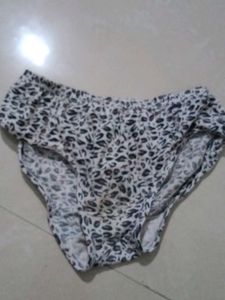 Animal Print Briefs
